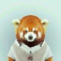 莉莉姐