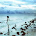 鿴qz33514294ĸҳ
